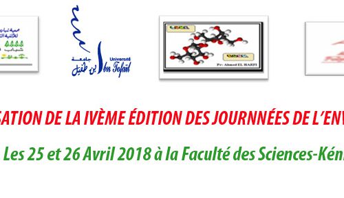 L’ORGANISATION DE LA IVÈME ÉDITION DES JOURNNÉES DE L’ENVIRONNEMENT