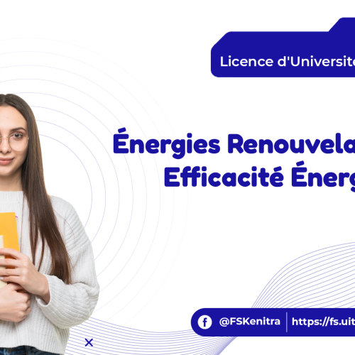 Énergies Renouvelables et Efficacité Énergétique