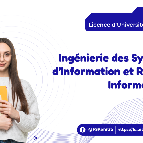 Ingénierie Systèmes d’Information et Réseaux Informatiques