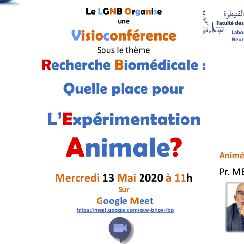 vidéoconférence sous le thème Recherche Biomédicale