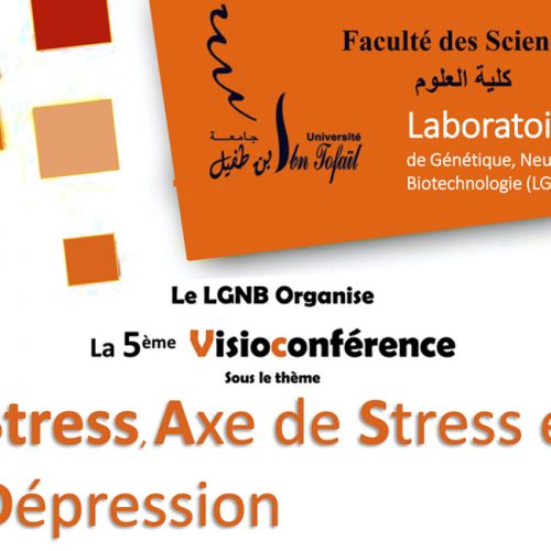 La 5ème Visioconférence sur : Stress, Axe de Stress et Dépression
