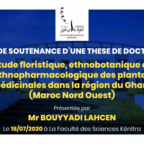 Avis de soutenance d’une thèse de doctorat (Mr BOUYYADI LAHCEN)