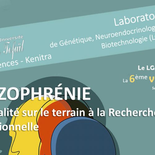 La 6ème Visioconférence sur : SCHIZOPHRÉNIE