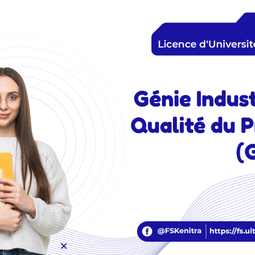 Génie Industriel et Qualité du Process (G.I.Q.P)