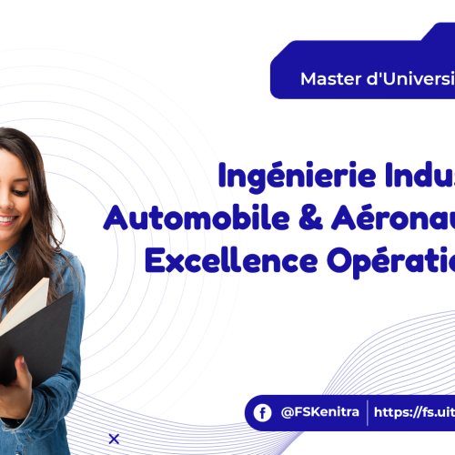 Ingénierie Industrielle Automobile & Aéronautique : Excellence Opérationnelle