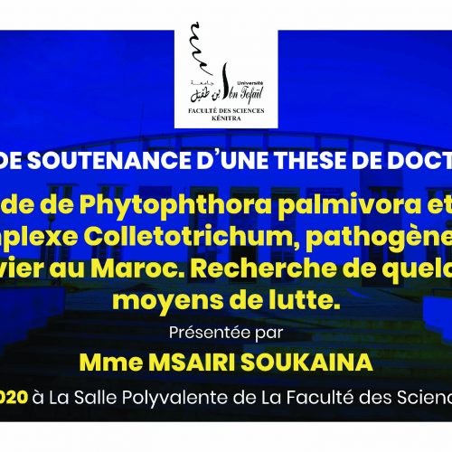 Avis de soutenance d’une thèse de doctorat (Mme MSAIRI SOUKAINA)