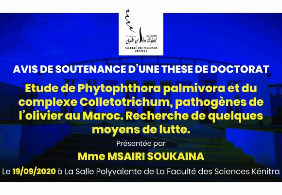 Avis de soutenance d’une thèse de doctorat (Mme MSAIRI SOUKAINA)
