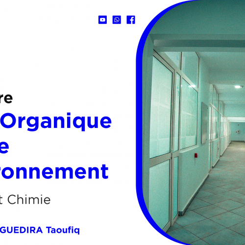 Chimie Organique, Catalyse et Environnement