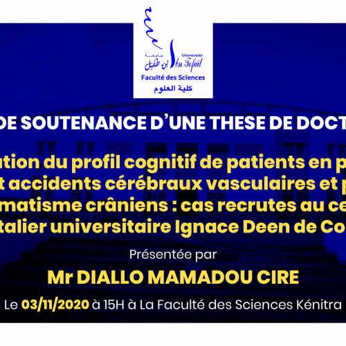 Avis de soutenance d’une thèse de doctorat (Mr DIALLO MAMADOU CIRE)