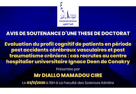 Avis de soutenance d’une thèse de doctorat (Mr DIALLO MAMADOU CIRE)