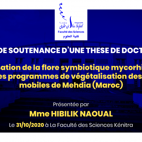 Avis de soutenance d’une thèse de doctorat (Mme HIBILIK NAOUAL)