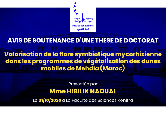 Avis de soutenance d’une thèse de doctorat (Mme HIBILIK NAOUAL)