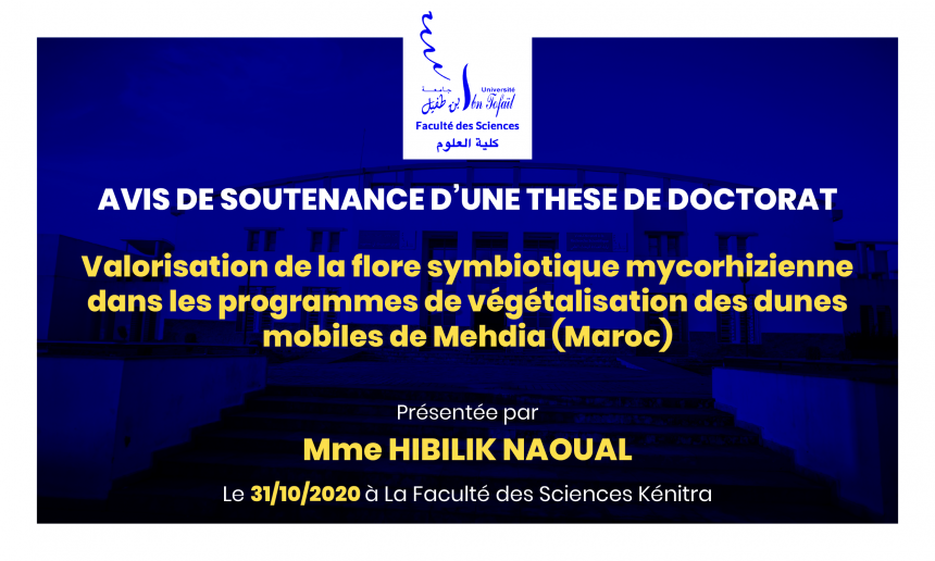 Avis de soutenance d’une thèse de doctorat (Mme HIBILIK NAOUAL)