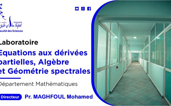 Equations aux dérivées partielles, Algèbre et Géométrie spectrales