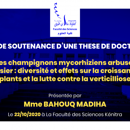 Avis de soutenance d’une thèse de doctorat (Mme BAHOUQ MADIHA)