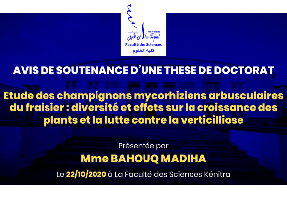 Avis de soutenance d’une thèse de doctorat (Mme BAHOUQ MADIHA)