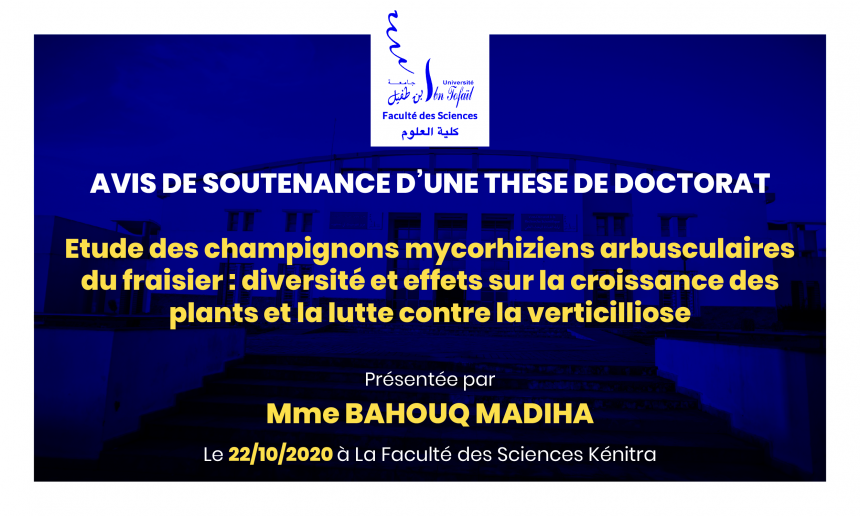 Avis de soutenance d’une thèse de doctorat (Mme BAHOUQ MADIHA)