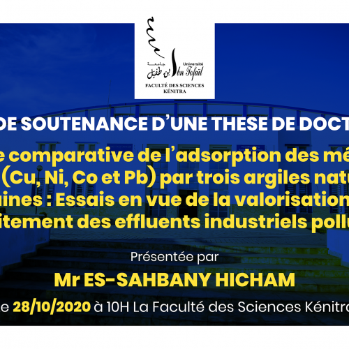 Avis de soutenance d’une thèse de doctorat (Mr ES-SAHBANY HICHAM)