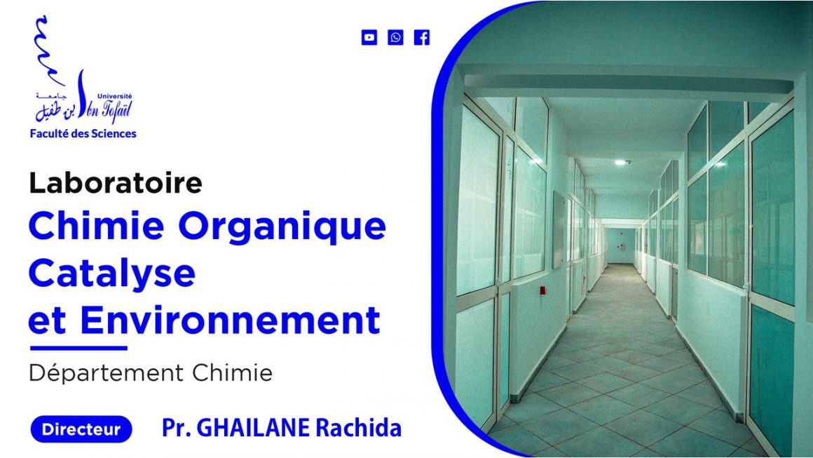 Chimie Organique, Catalyse et Environnement