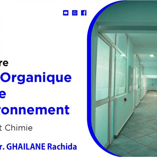 Chimie Organique, Catalyse et Environnement