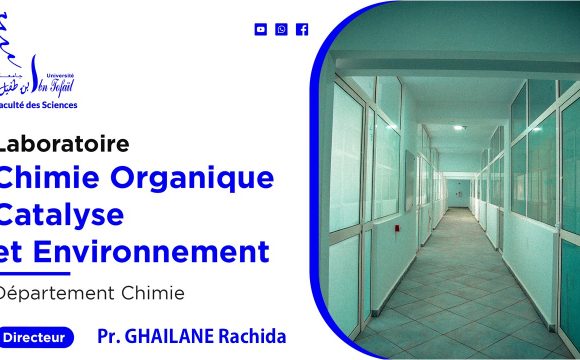 Chimie Organique, Catalyse et Environnement