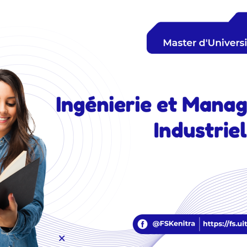 Ingénierie Et Management Industriel (IMI)