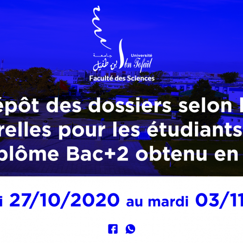 Dépot des demandes d’inscription par passerelle 2020/2021