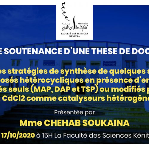 Avis de soutenance d’une thèse de doctorat (Mme CHEHAB SOUKAINA)
