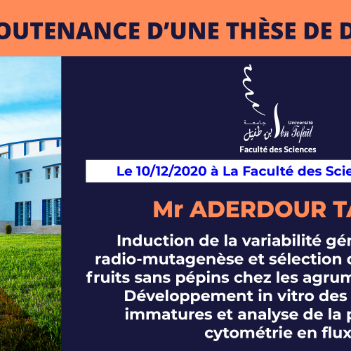 Avis de soutenance d’une thèse de doctorat (Mr ADERDOUR TARIK)