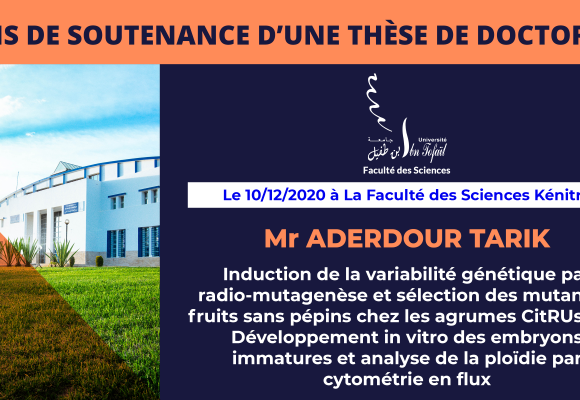 Avis de soutenance d’une thèse de doctorat (Mr ADERDOUR TARIK)