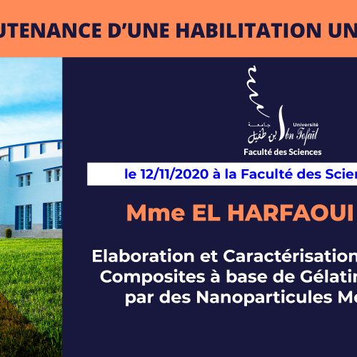 Avis de soutenance d’une habilitation universitaire (Mme EL HARFAOUI NADIA)