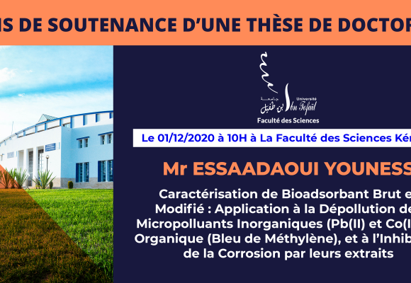 Avis de soutenance d’une thèse de doctorat (Mr ESSAADAOUI YOUNESS)