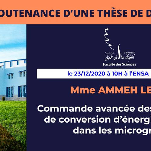 Avis de soutenance d’une thèse de doctorat (Mme AMMEH LEILA)