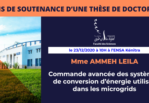 Avis de soutenance d’une thèse de doctorat (Mme AMMEH LEILA)