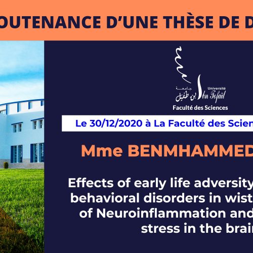 Avis de soutenance d’une thèse de doctorat (Mme BENMHAMMED HAJAR)