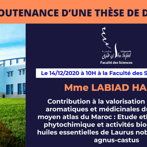 Avis de soutenance d’une thèse de doctorat (Mme LABIAD HANAA)