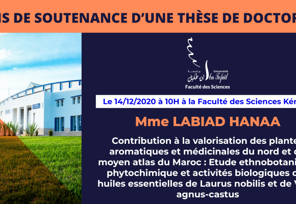Avis de soutenance d’une thèse de doctorat (Mme LABIAD HANAA)