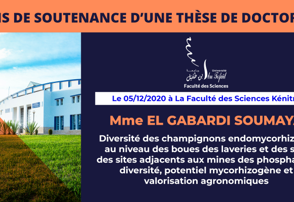 Avis de soutenance d’une thèse de doctorat (Mme EL GABARDI SOUMAYA)