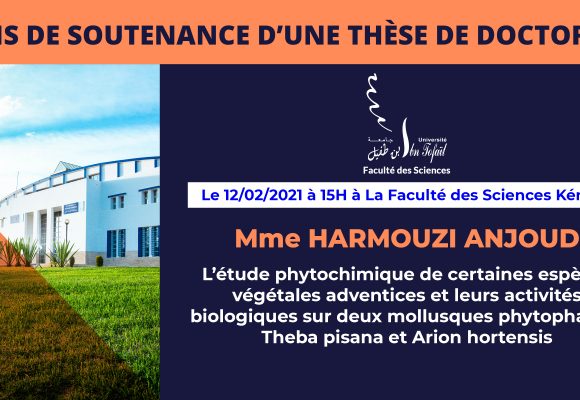 Avis de soutenance d’une thèse de doctorat (Mme HARMOUZI ANJOUD)