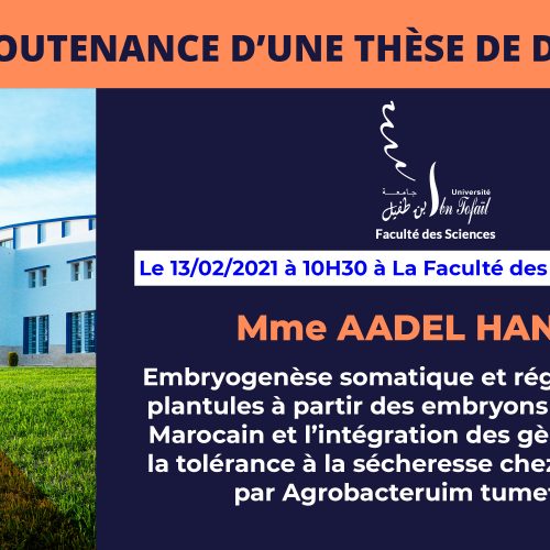 Avis de soutenance d’une thèse de doctorat (Mme AADEL HANANE)