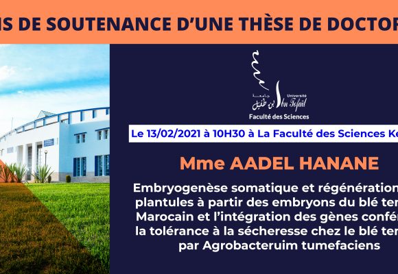 Avis de soutenance d’une thèse de doctorat (Mme AADEL HANANE)