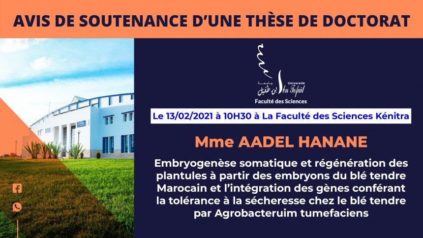 Avis de soutenance d’une thèse de doctorat (Mme AADEL HANANE)