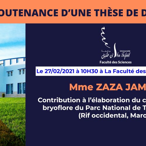 Avis de soutenance d’une thèse de doctorat (Mme ZAZA JAMILA)