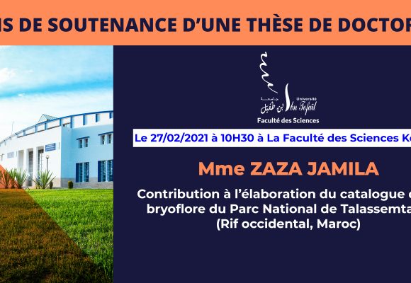 Avis de soutenance d’une thèse de doctorat (Mme ZAZA JAMILA)
