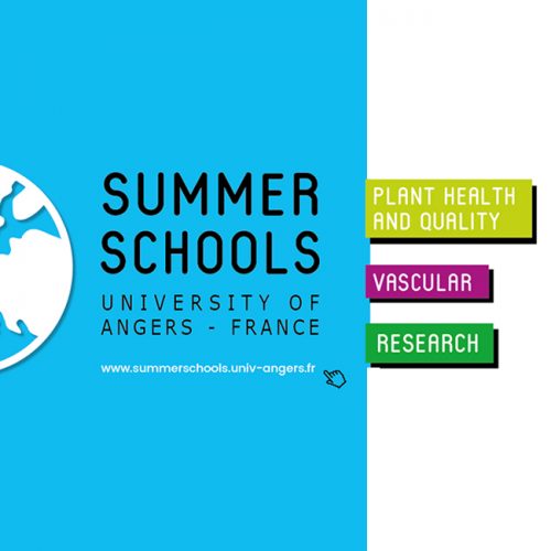 Appel à participation à plusieurs Écoles d’Été Internationales (Summer Schools) à l’Université d’Angers – France