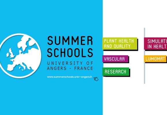 Appel à participation à plusieurs Écoles d’Été Internationales (Summer Schools) à l’Université d’Angers – France