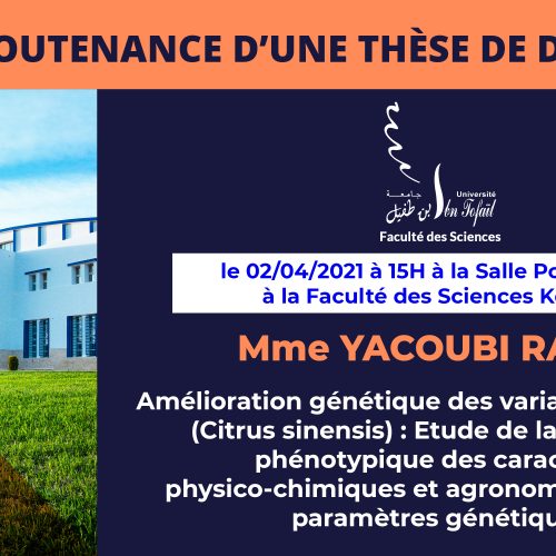 Avis de soutenance d’une thèse de doctorat (Mme YACOUBI RAJAE)