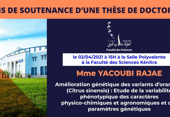 Avis de soutenance d’une thèse de doctorat (Mme YACOUBI RAJAE)