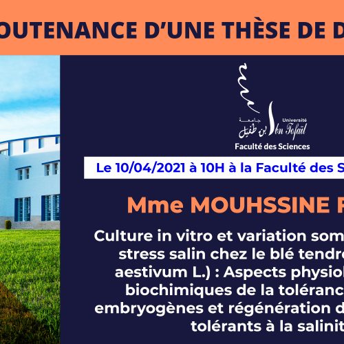 Avis de soutenance d’une thèse de doctorat (Mme MOUHSSINE FATINE)