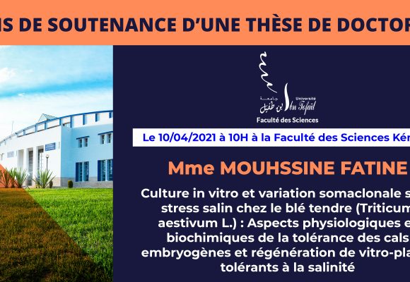 Avis de soutenance d’une thèse de doctorat (Mme MOUHSSINE FATINE)